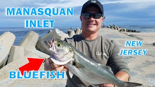 Catching Bluefish at the Manasquan Inlet! Catch & Clean!!!