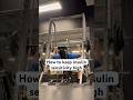 How to keep insulin sensitivity high