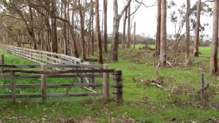Storm damage.wmv