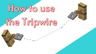 How to use the Tripwire Hook