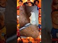 blackhead removal from nose/ old aged blackheads removal