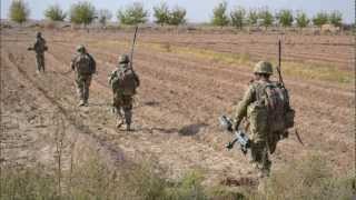 Royal engineers search team