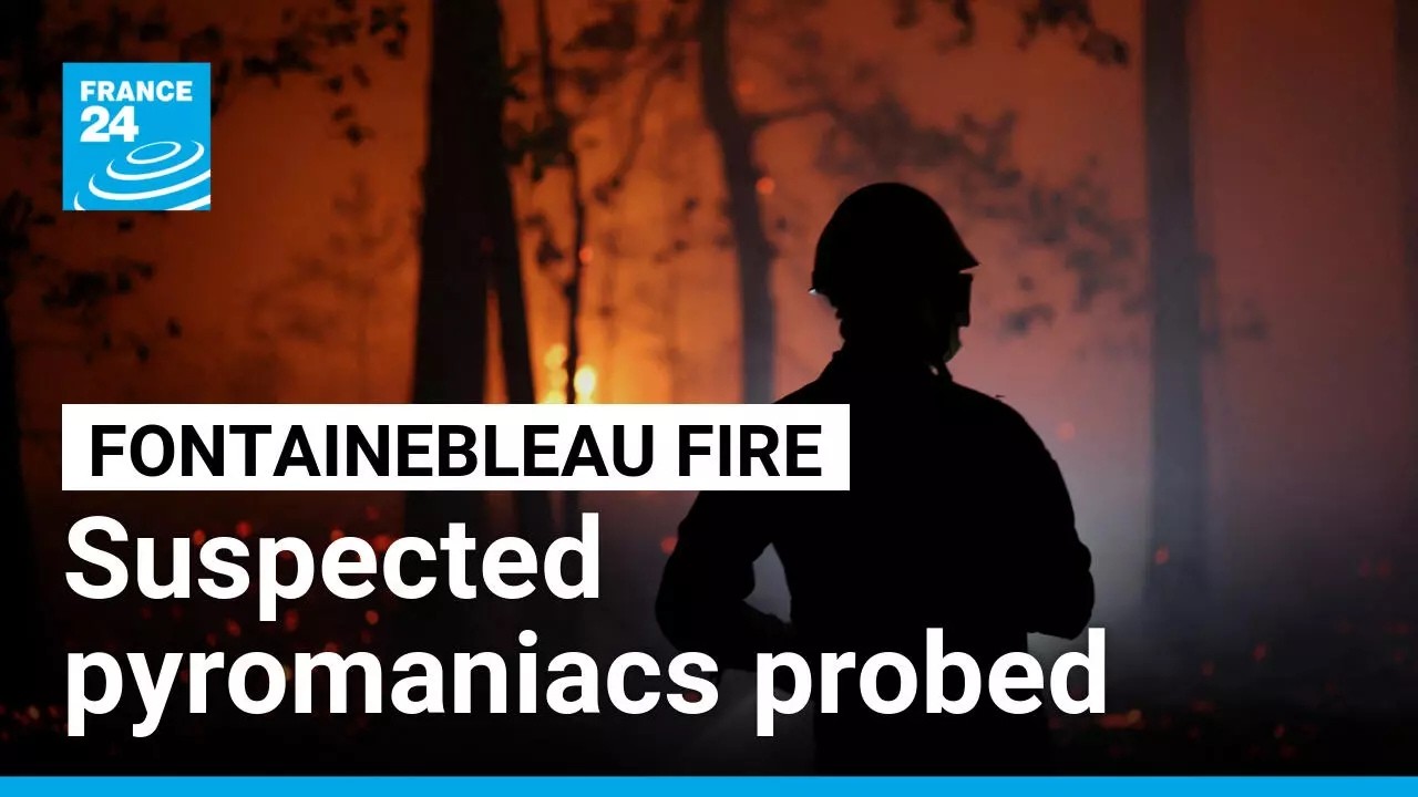 French police investigate suspected pyromaniacs thought to have started Fontainebleau fire