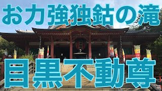 沢山のお不動さんと癒しの大日如来さんに会える！《目黒不動尊・瀧泉寺》