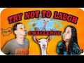 TRY NOT TO LAUGH С КОЗИЧКИ