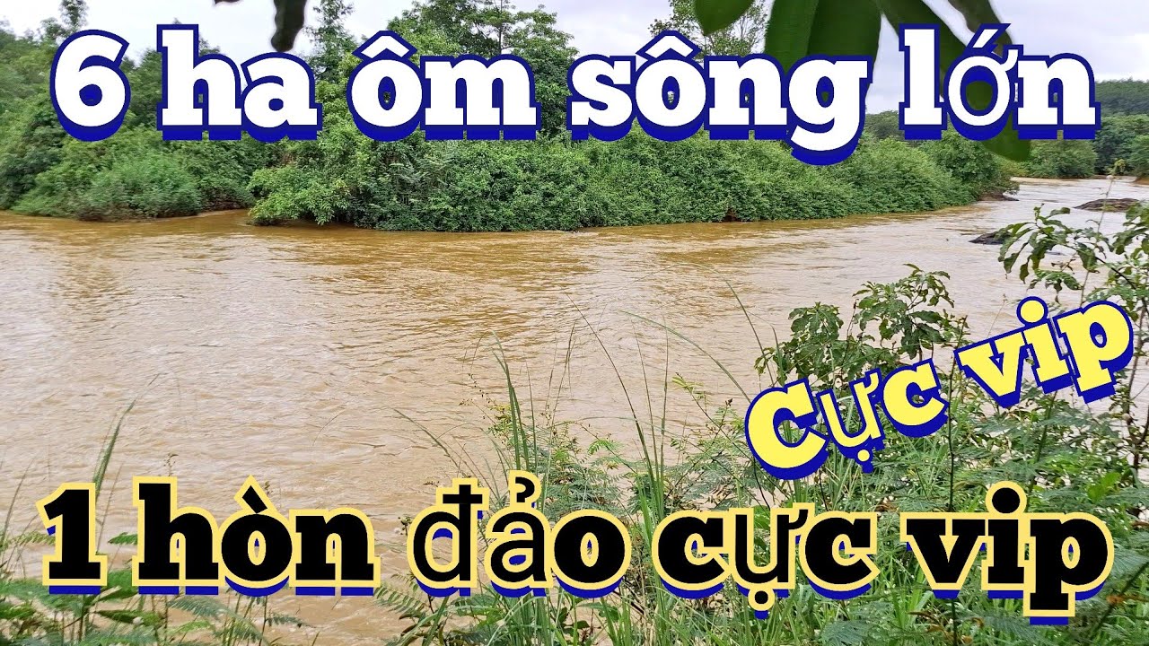Siêu phẩm víp quá đẹp 6 ha đất đỏ ôm sông lớn ôm Ql14c có 1hòn đảo 4 mặt sông cực vip| đất view sông