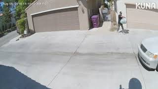 People rummaging through the recycle bin