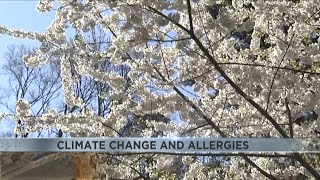 Hotter temperatures changing Arizona's allergy seasons, making them worse