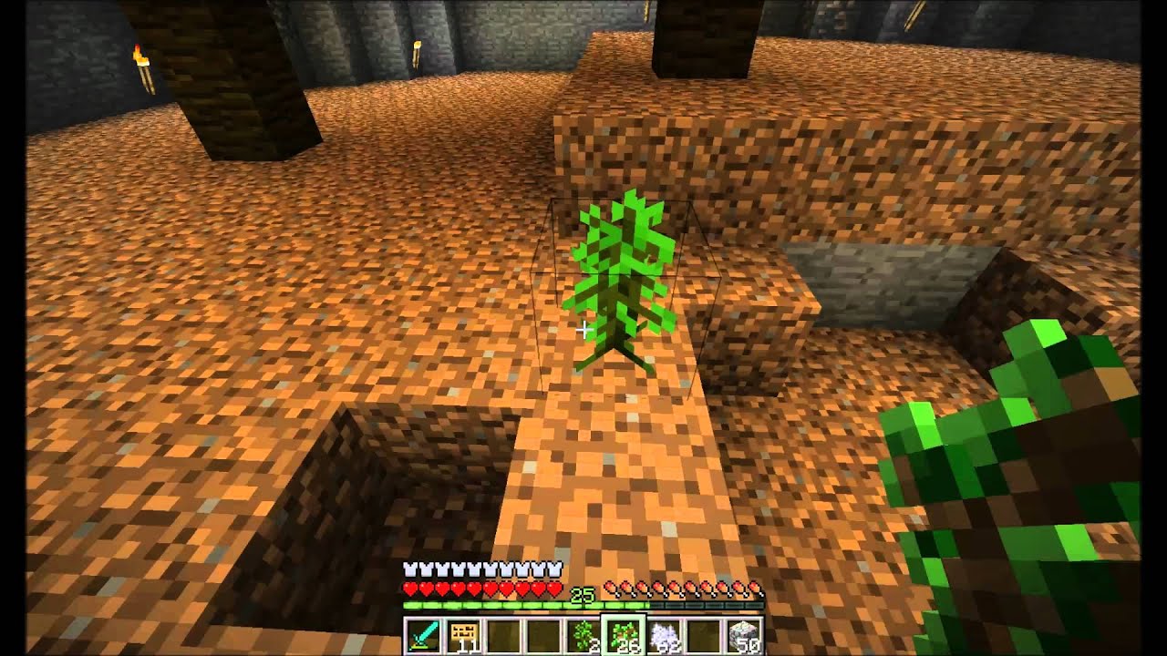 Half Cry Prank Wars 1: Sweaterman's Plants