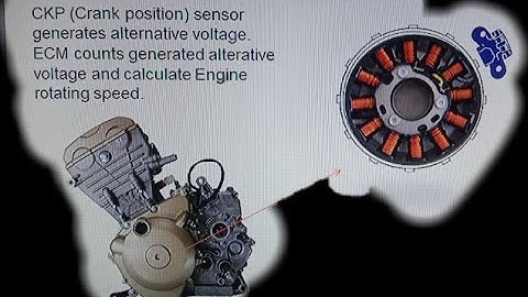 FI CODES   LOCATION & FUNCTION