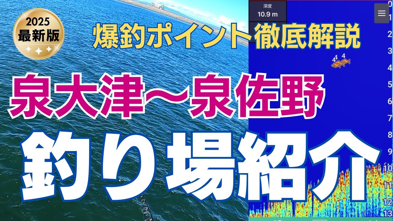 【南大阪/泉大津～泉佐野】有料級の情報が満載！2025年最新釣り場紹介 #02