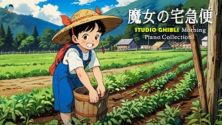 3時間のジブリ音楽🎍 Ghibli Piano Collection