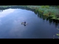 Рыбаки на озере_22.07.2018.Video Dubrovsky