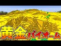 【マイクラ】世界2位の作業厨サーバーになるpart6 作業厨が大量の金ブロック使って黄金のバイオーム使ってきた【ゆっくり実況】【Minecraft】