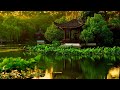 Beautiful japanese ambient relaxing music for stress relief meditation music sleep music