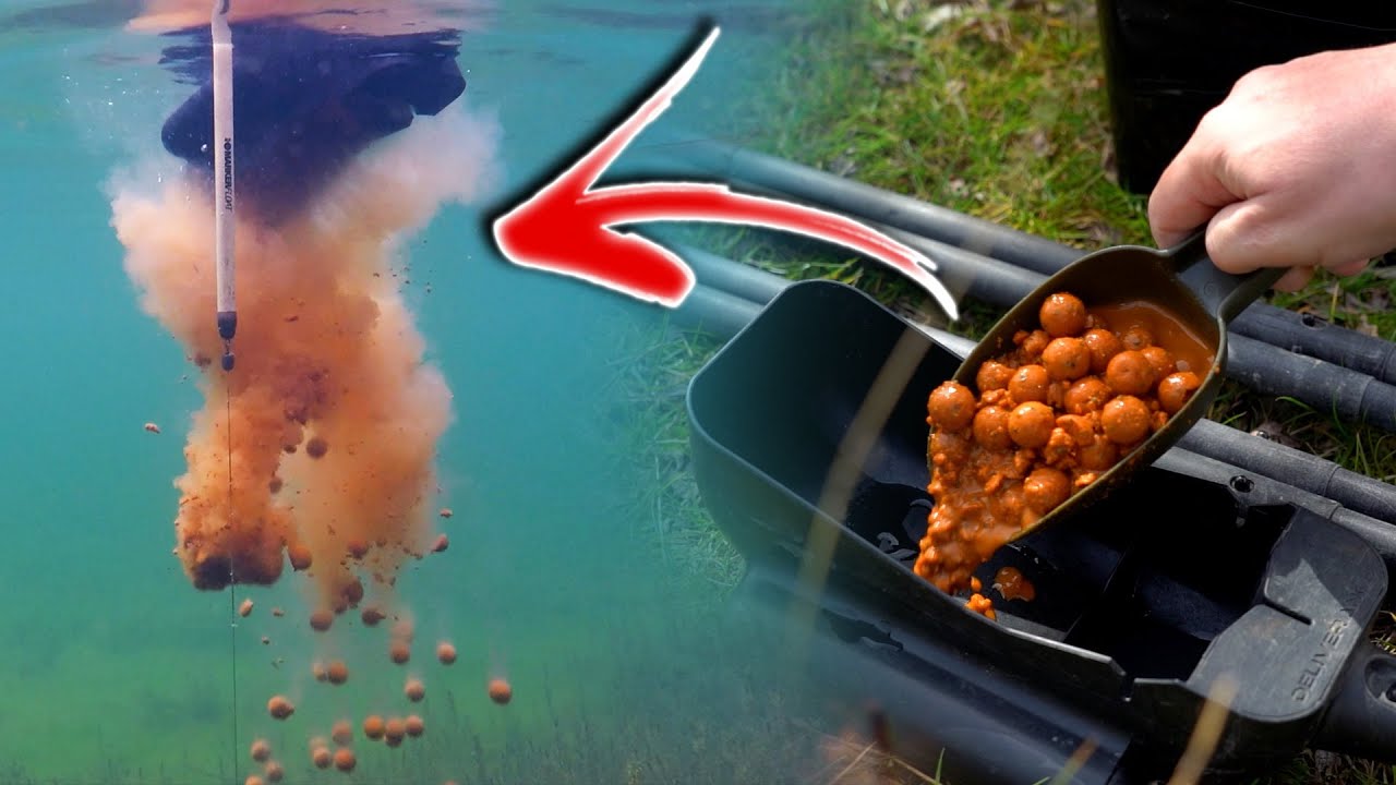 WHY do washed out carp baits work so well? 🤔
