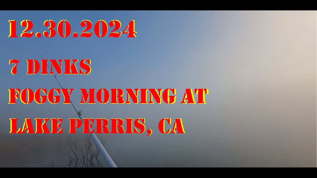 Where I find bass at Lake Perris. 7 dinks in foggy weather #lakeperrisfishing #winterbassfishing