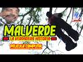 Malverde La Historia Original Pelicula Completa © solo YouTube