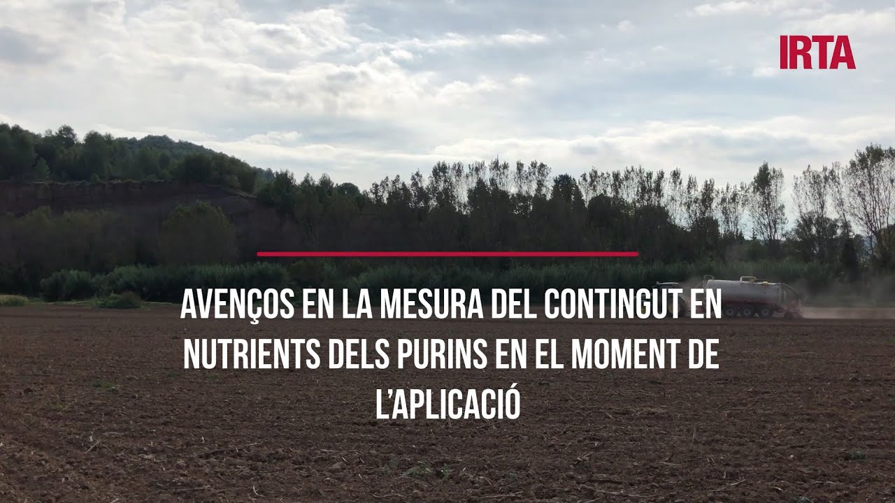 Avenços en la mesura del contingut en nutrients dels purins en el moment de l’aplicació