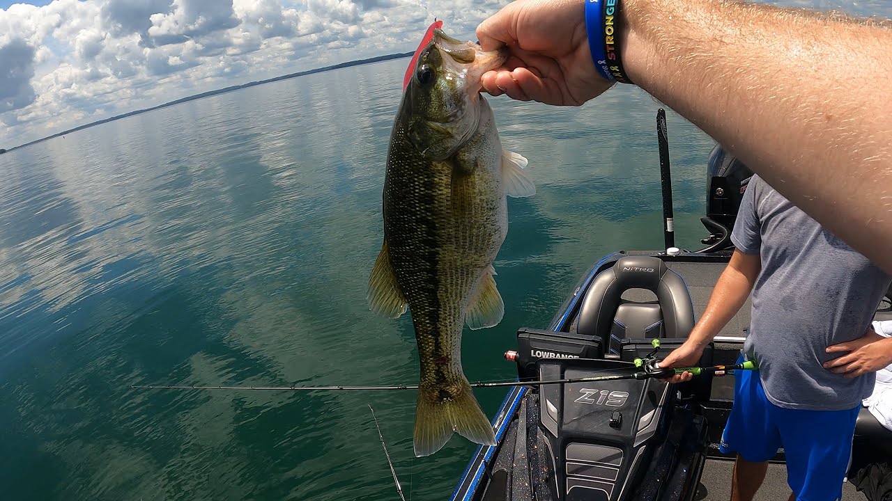 Lake Hartwell Bass Fishing Bass Manager The Best Bass Fishing Page