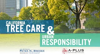 California Tree Care & Urban Responsibility: Webinar Replay