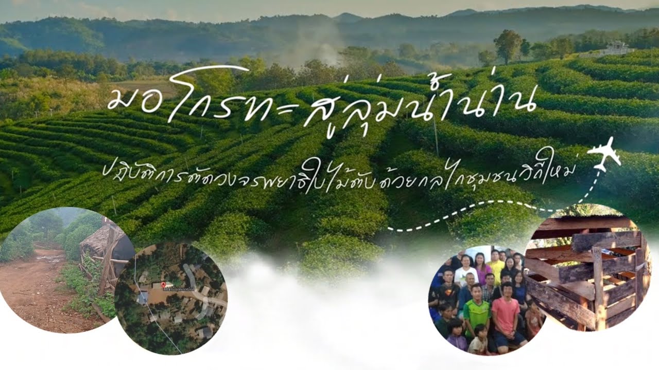 มอโกรทะ..สู่ลุ่มน้ำน่าน  ปฏิบัติการตัดวงจรพยาธิใบไม้ตับด้วยกลไกวิถีใหม่ #กรมควบคุมโรค 