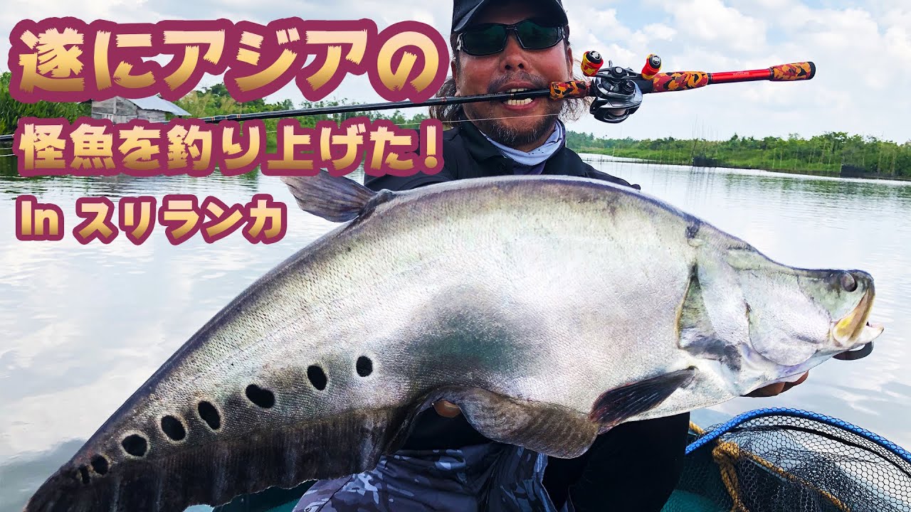 アジアの怪魚バリーダー爆釣 in Sri Lanka! 【What a big catch Asian