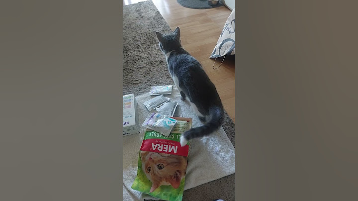 ne zanimas me ni ti ni šta si mi kupio🤣🤣😇🥰