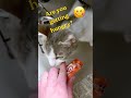 MJ (Mother Jones) video