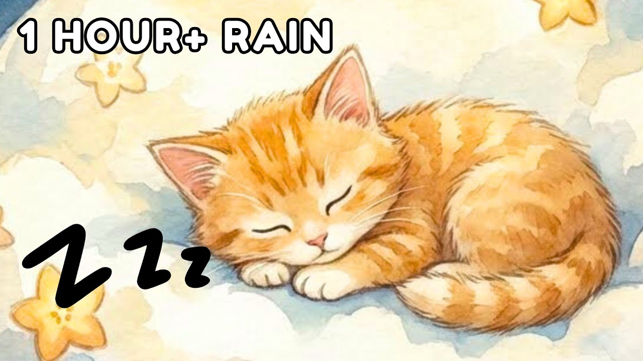 1 Hour+ Rain Lullaby for Instant Sleep 🌧️ Cute Kitten on Cloud