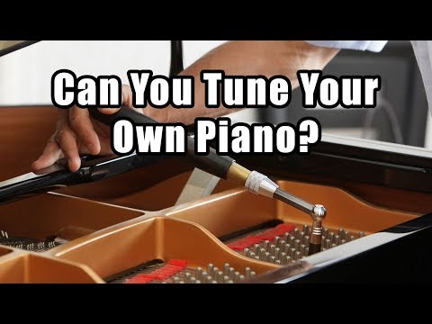 Can You Tune Your Own Piano? Piano Questions