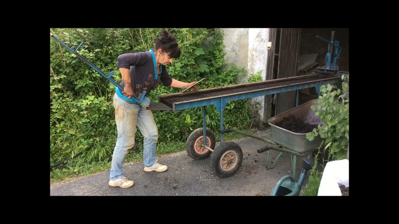 Lancement des premiers semis de salades et autres, dans des mottes fabriquées maison.