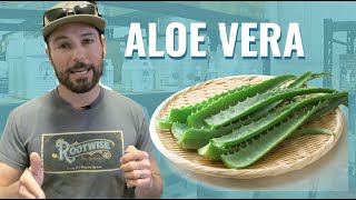 BuildASoil Product Highlight: ALOE VERA FOR YOUR GARDEN