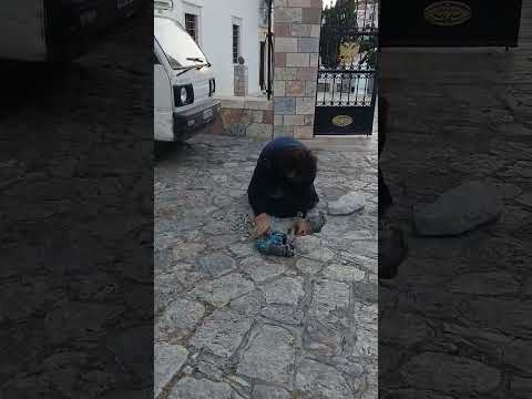 Ο π. Κωνσταντίνος Σμαλιός επί το έργον: Μικρές πράξεις, μεγάλο παράδειγμα !