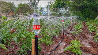 Coca Cola Şişesi İle Bahçe Yağmurlama Duşu Yapımı | Yaratıcı Fikirler