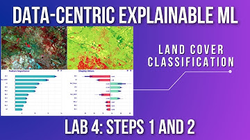 Data centric Explainable ML Tutorial 9: Lab 4 Steps 1 and 2