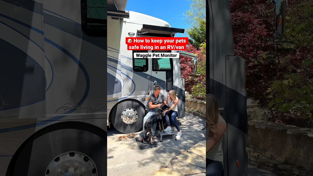 🐶 Must-have RV item to help keep your pets safe 