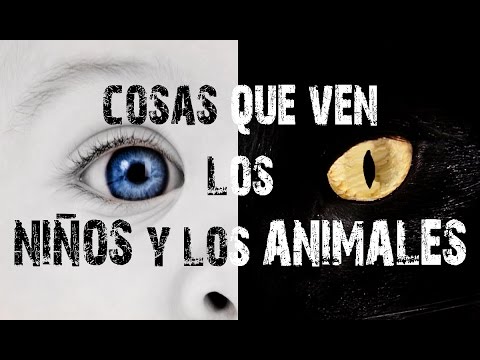 Vídeo: Historias Místicas Sobre Criaturas Y Cosas Espeluznantes Que Ven Los Niños - Vista Alternativa