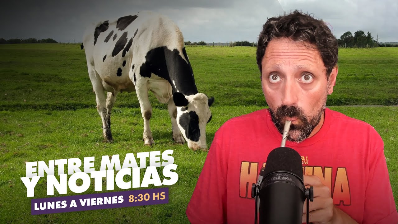 Vacas con cheddar, soterramiento y Bad Bunny  | Entre Mates y Noticias 03/02 [completo]