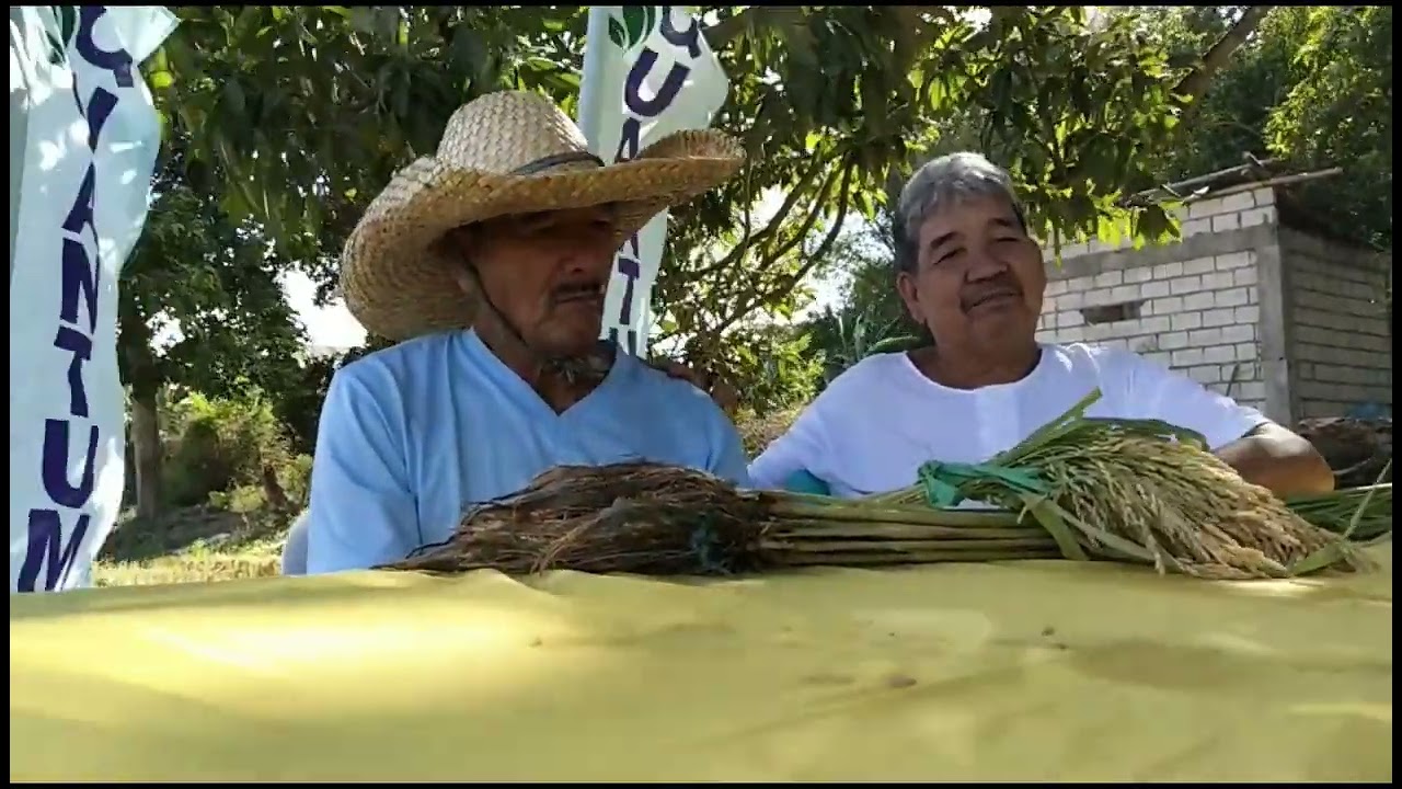 Quantum Growth testimonies