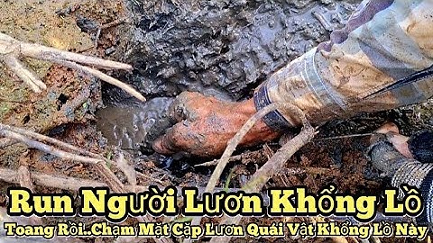 Câu lươn khủng_Toang Rồi..Run người chạm mặt cặp lươn quái vật khổng lồ 1KG_tập924|Giant eel fishing