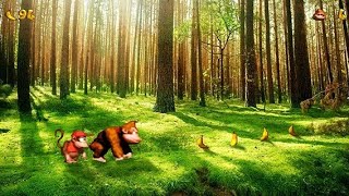 Reinhardt Charge Series - The Forests of Eichenwalde