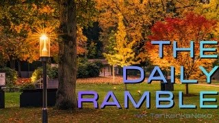 The Daily Ramble (26-01-21) Sub-Zero Flurries