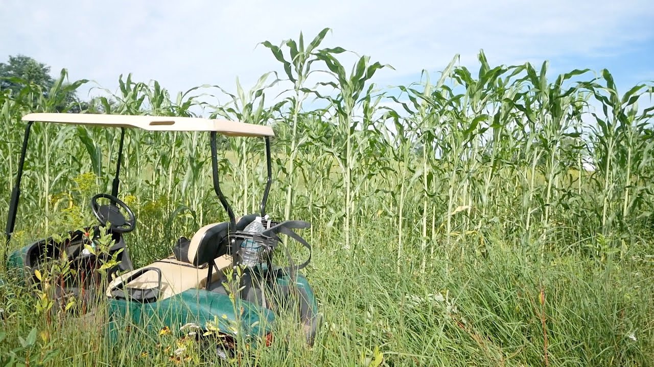 Northwoods Whitetail HD Plot Screen