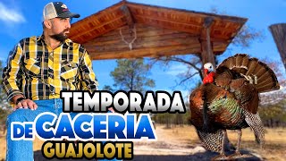 EL ENGAÑO DEL GUAJOLOTE que termina con su existencia