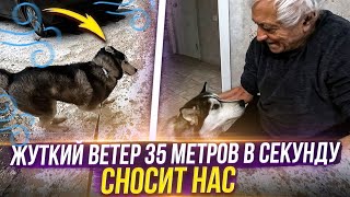 Попали под ураган😥Чуть не потеряли Хасю😱