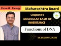 Molecular Basis of Inheritance |12 Biology | Functions of DNA | Dr. Shankar Laware