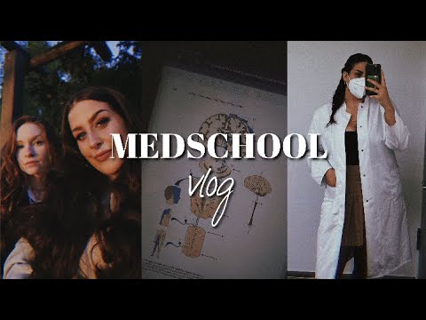 WE CAN DO IT | letzte klausur in der vorklinik (3.versuch), lots of studying, angst? & ergebnis