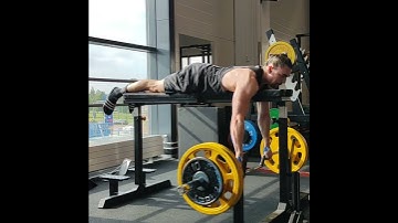 100kg seal row with cambered bar