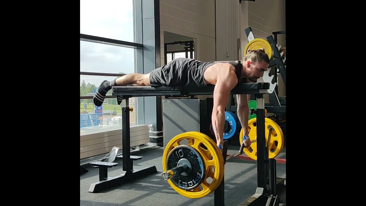 100kg seal row with cambered bar